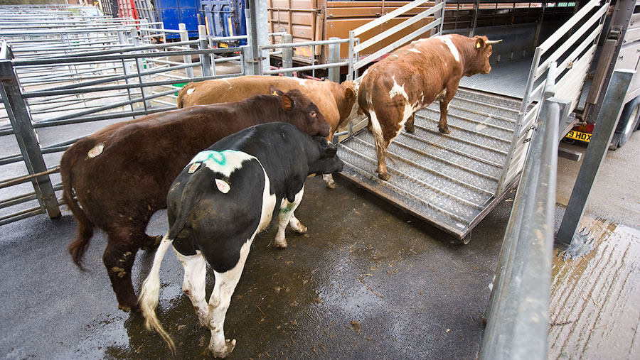 National Party proposes reversing the ban on live exports