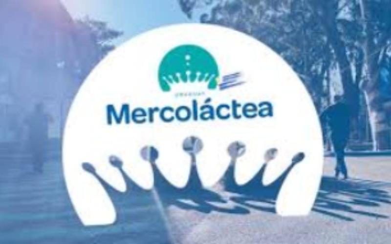 Holando, Jersey and Normando Shone at the Second Edition of Mercoláctea