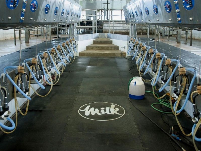 Canada's Dairy Supply Management Faces Criticism Amid Trade Negotiations