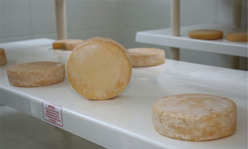 Innovative Dairy Strategy Boosts Production in Minas Gerais, Brazil