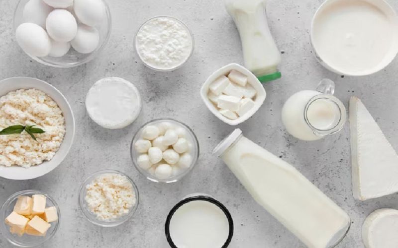 Ukraine Reduces Dairy Exports by 19% in August