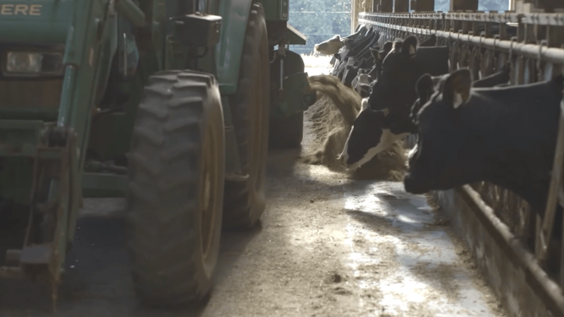Island Dairy Farmers Support MP's Call for Ferry Subsidies
