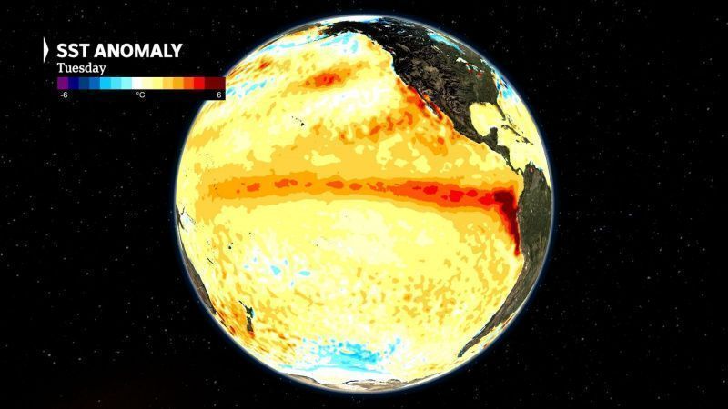 El Niño'nun Şiddetli Kuraklık Ortasında Avustralya Süt Ürünleri Endüstrisine Etkisi