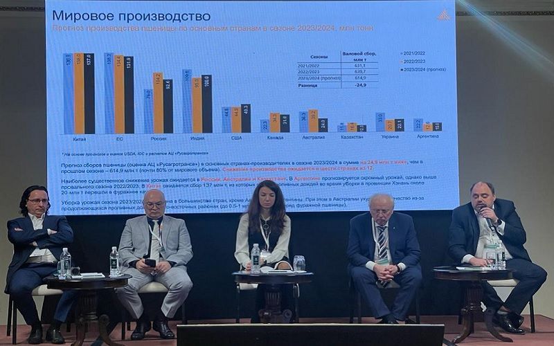В 2024 году ведущие мировые экспортеры сократят экспорт пшеницы