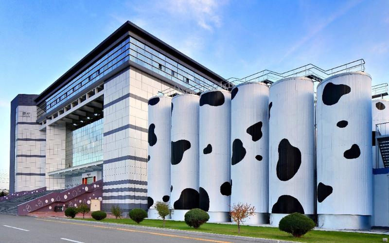 China's Dairy Industry Stabilizes as Mega-farms Dominate Production