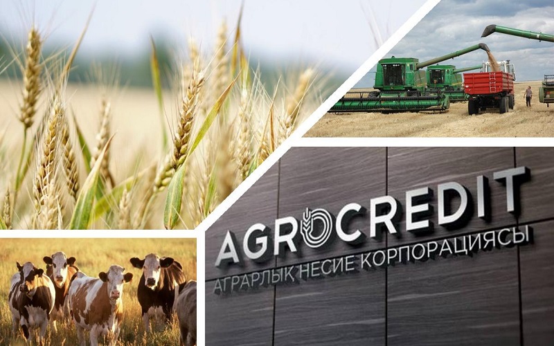 330 миллиардов тенге направит Аграрная кредитная корпорация на финансирование фермерских проектов