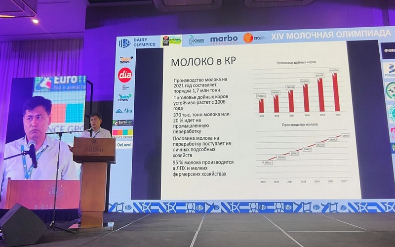 Ежегодное производство молока в Кыргызстане достигает 2 млн тонн