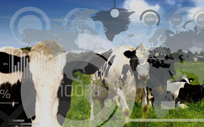 Ukraine’s Dairy Sector Shows Remarkable Resilience and Growth Amid Ongoing Challenges
