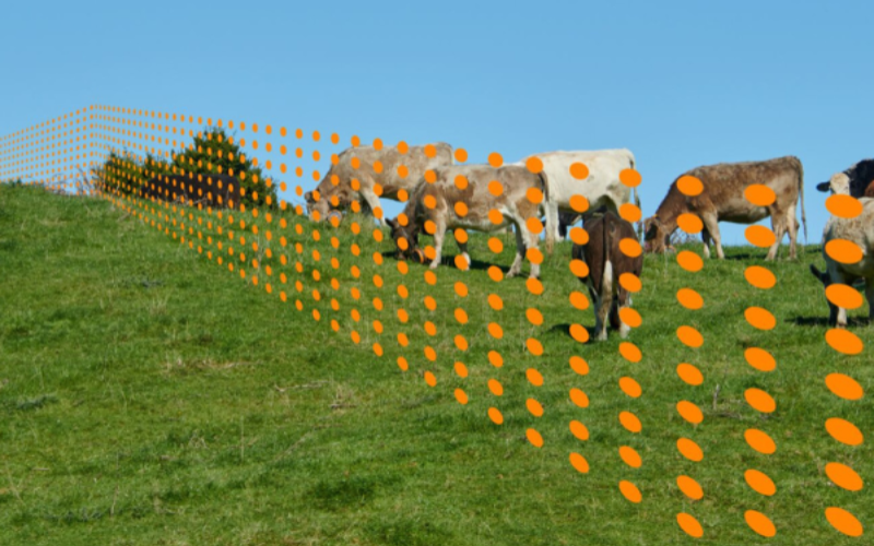 Australia Meridional Implementa Cercas Virtuales para Granjas Lácteas