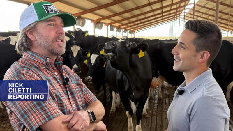 Arizona's Dairy Industry Faces Economic Challenges Amid Rising Costs