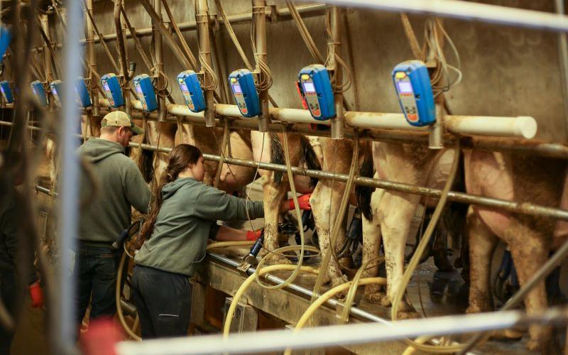 Missouri Farmers Anticipate 2026 Dairy and Beef Grants Announcement