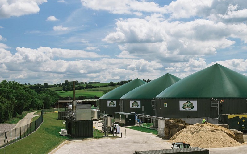 Wyke Farms открывает экспортный центр сыра «Wincanton» Wyke Farms открывает экспортный центр сыра «Wincanton»