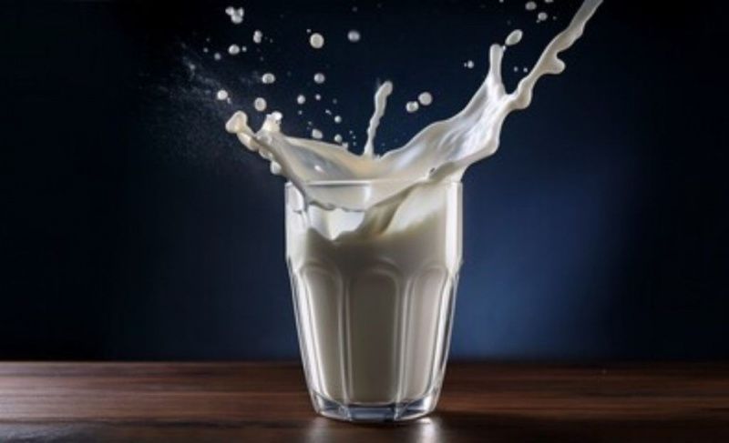 Evolving Dairy Consumption Patterns in Chile Highlight Key Trends