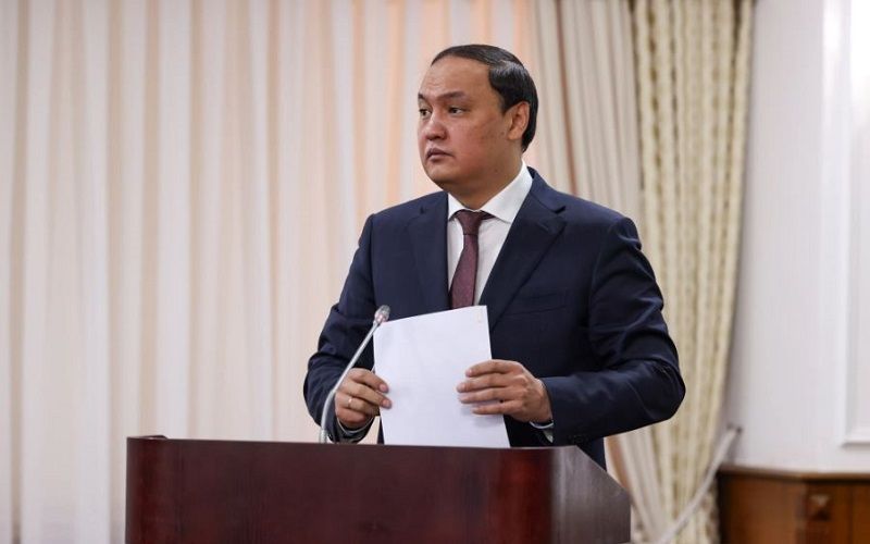 Ербол Карашукеев: В этом году в Казахстане заработало 227 новых сельхозпредприятий