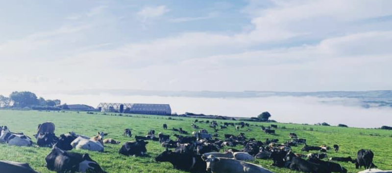 Family-Run Dairy Farm Hosts Net Zero Workshop to Showcase Sustainability Efforts