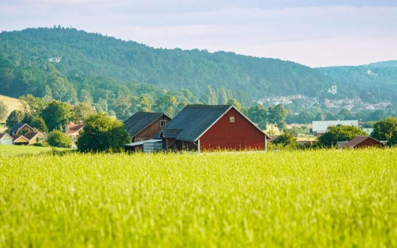 Çiftlik Bürosu, USDA'nın MAHA Süt Politikası Planını Destekliyor