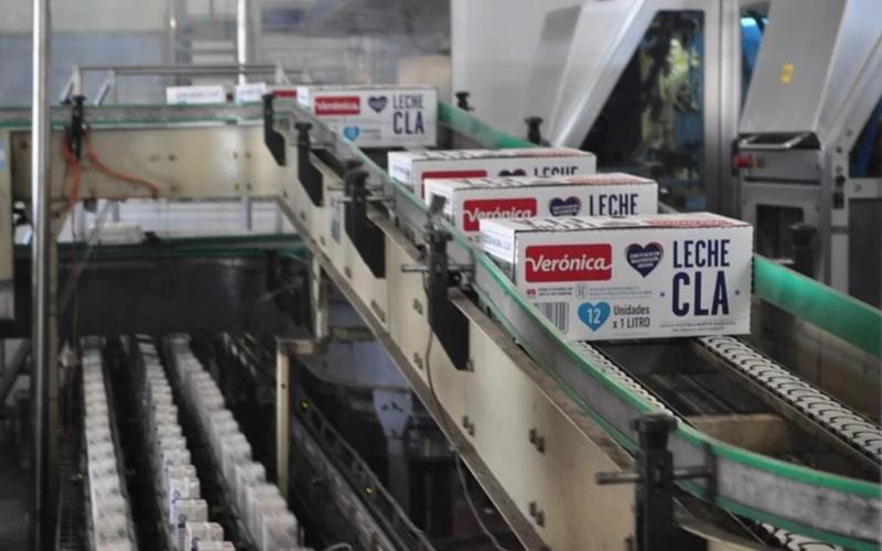 Debt Crisis at Lácteos Verónica: Potential Rescue from French Investor