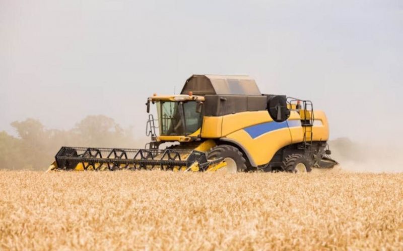 Казахстан ограничил импорт российского зерна из-за риска завоза болезней скота