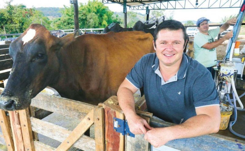 Dairy Cooperatives in Goiás Boost Production Through Strategic Initiatives
