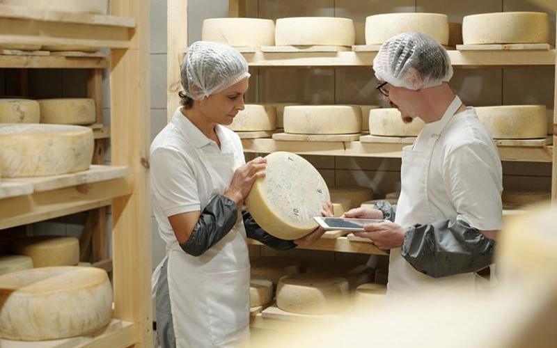 حل أزمة العمالة؟ قادة صناعة الألبان يكشفون عن 3 مفاتيح للاحتفاظ بالقوى العاملة