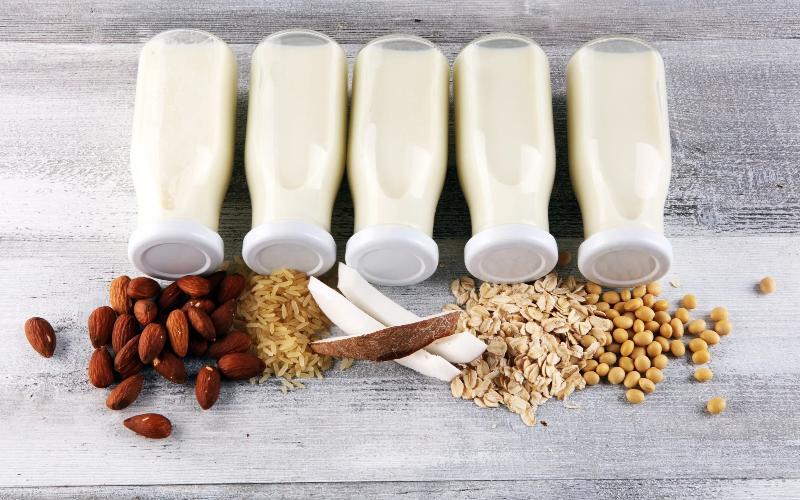 La fermentación mejora la bioactividad en alternativas lácteas de avena y soja