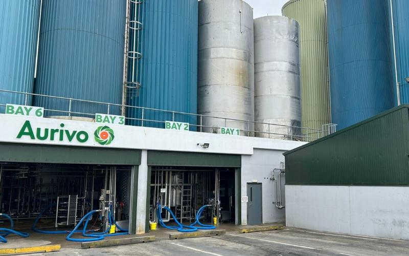 Süt Kooperatifleri Dale Farm ve Aurivo Birleşme Planlarını İptal Etti