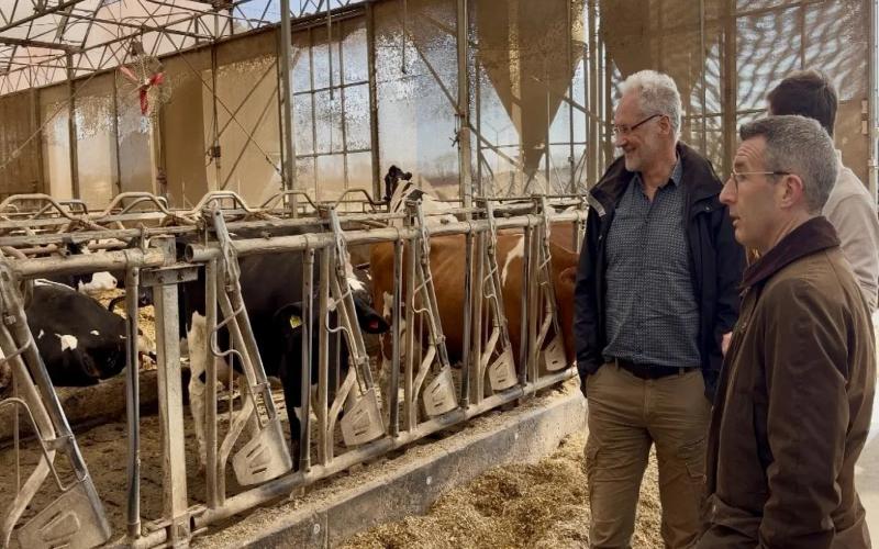 ممارسات مستدامة في مزارع الألبان الهولندية خلال زيارة وزارية