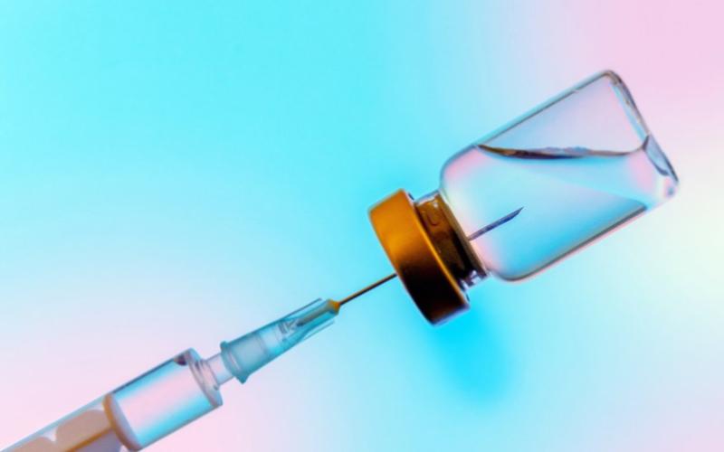 Biolumpivaxin: Bharat Biotech's New Vaccine Against Lumpy Skin Disease