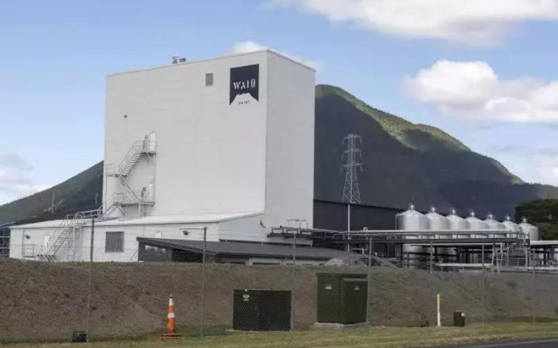 Māori Investments Writes Off $9M Waiū Dairy Stake Amid Financial Challenges