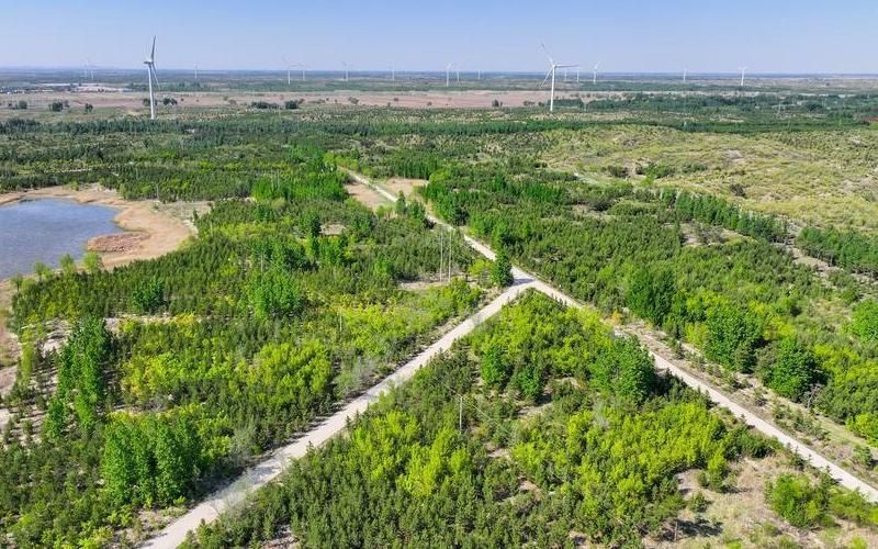 Впечатляющие достижения Китая в борьбе с опустыниванием компанией Mengniu Впечатляющие достижения Китая в борьбе с опустыниванием компанией Mengniu