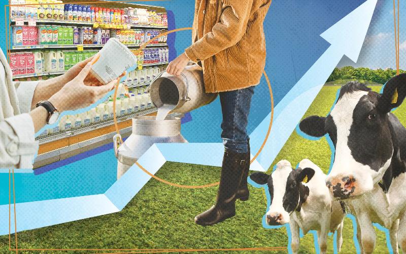 Los agricultores lecheros celebran el apoyo temporal de precios, pero piden aumentos sostenidos por parte de todos los procesadores y minoristas