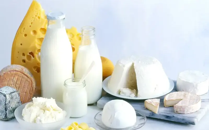 Ukraine and the EU to Revise Dairy Product Quotas