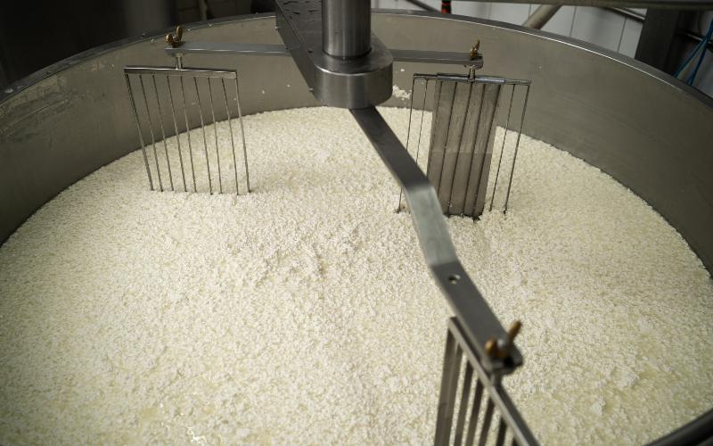 UASLP Develops Nutrition Supplement from Cheese Byproduct in Mexico