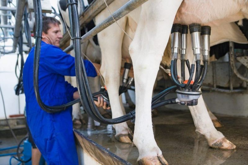 Kenya urges Tharaka Nithi farmers to raise milk output