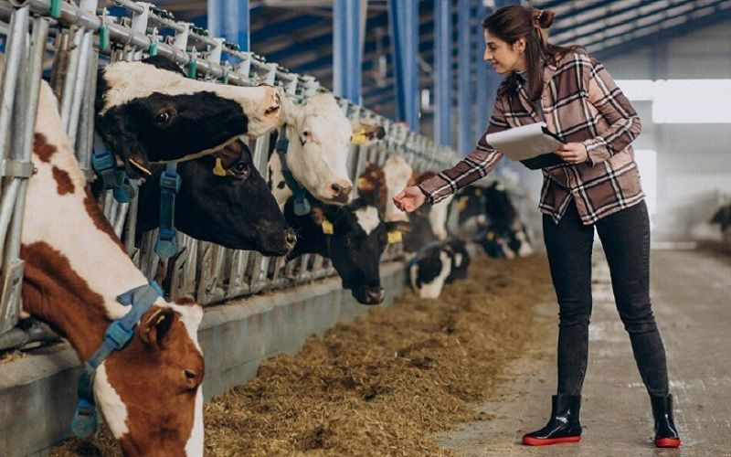 Новосибирская область направит 800 млн рублей компенсации пострадавшим хозяйствам