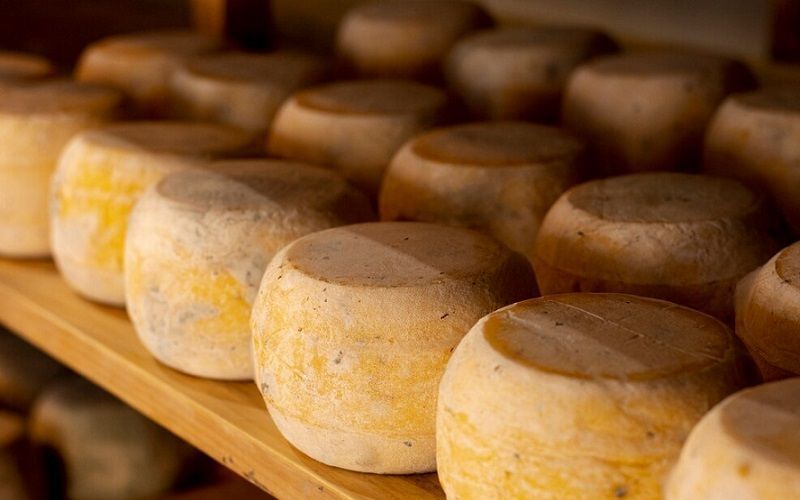 Global Cheddar Cheese Market Set for Rapid Growth, Forecast to Reach $133.1 Million by 2030