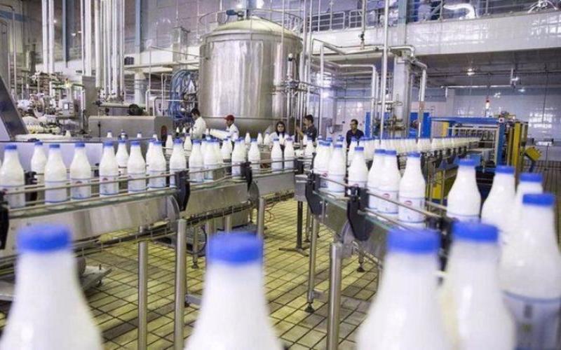 Iran's Dairy Export Surge: A Look at Recent Trends