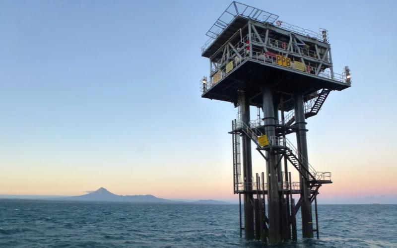 Taranaki's Economic Shift: From Oil and Gas to Dairy Dominance