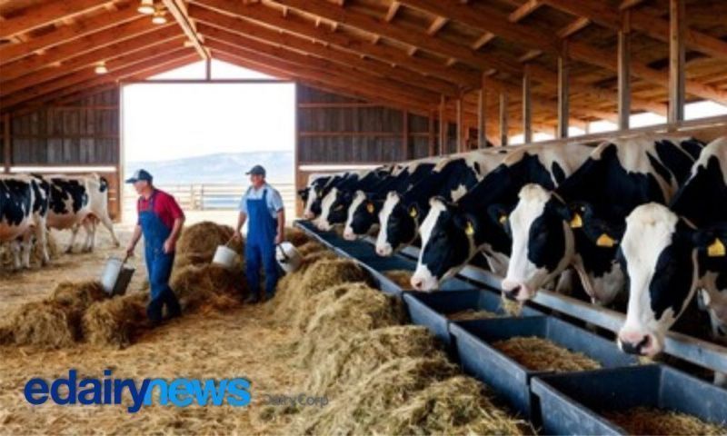 US lawmakers debate Farm Bill as Southern Cone exports shift