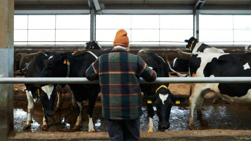 Dairy Women Ireland schedules fifth annual conference for November 20