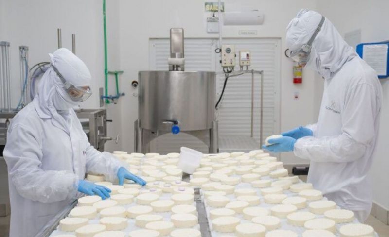 Brezilya'nın Passionata Peyniri Dünya Çapında Tanındı