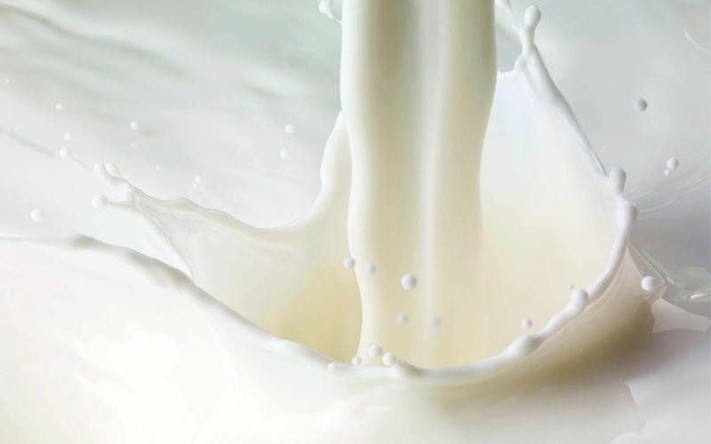 US Dairy Cheers Indonesia Trade Deal: Tariffs Slashed