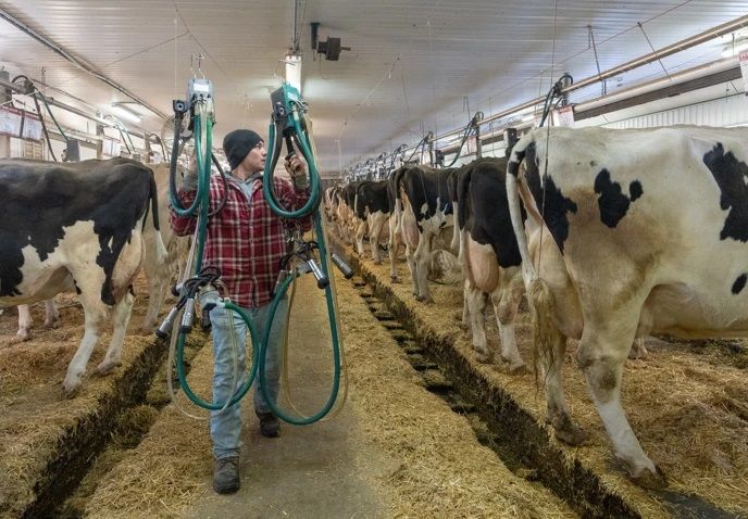 Canadian Dairy Groups Urge Ottawa to Defend Food Sovereignty in U.S. Talks
