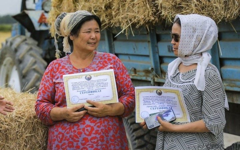Освободившиеся от зерновых культур земли выделяются нуждающимся в социальной поддержке