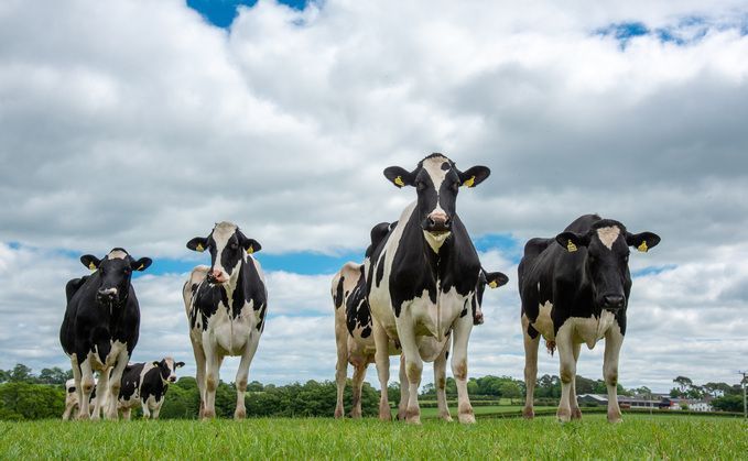 Las explotaciones lecheras del Reino Unido deben aprovechar las fluctuaciones del mercado
