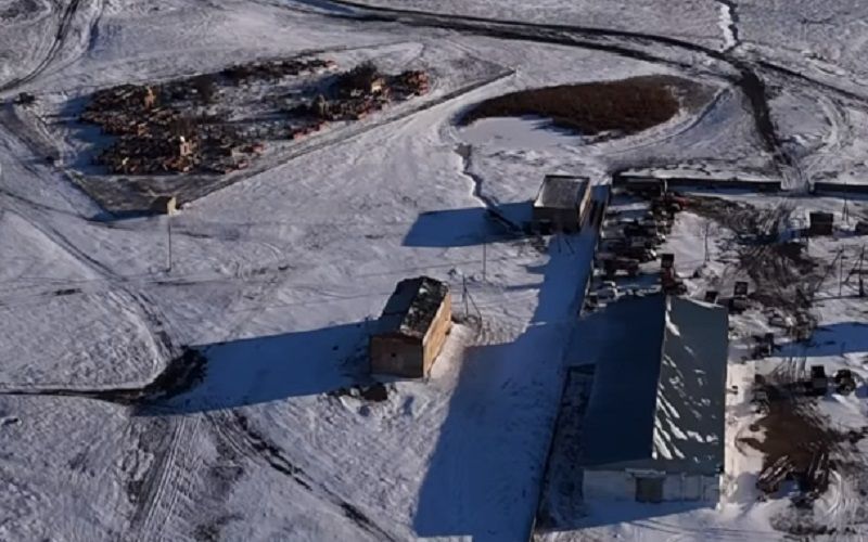 Падеж КРС в Акмолинской области связан с кормовым отравлением?