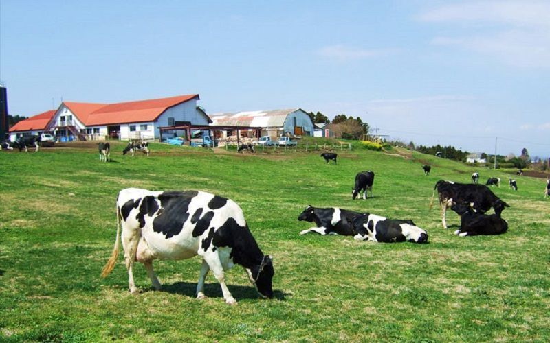 DLG присоединяется к «Agrievolution Alliance»