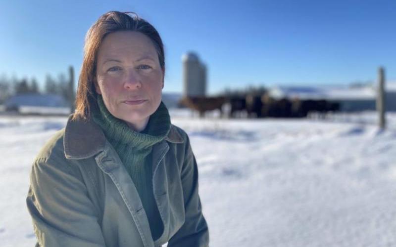 Jennifer Hayes, Kanada Süt Komisyonu Başkanlığına Yeniden Atandı