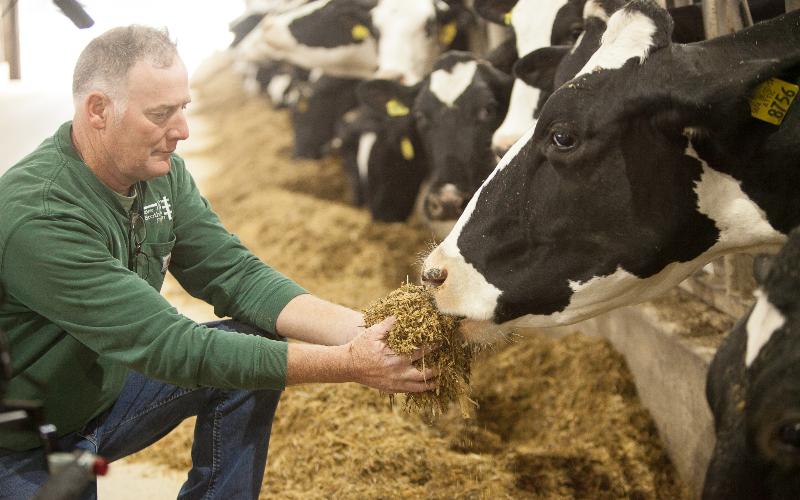 U.S. Dairy Sector Unveils Strategy for Net Zero Emissions by 2050