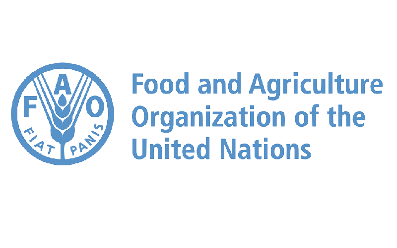 FAO: Rising Energy Prices Push Global Food Indices Upward